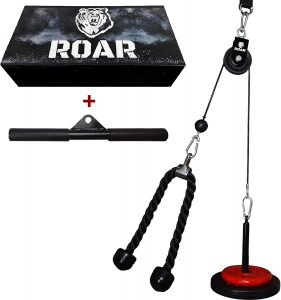 Polea Gimnasio Gym Roar